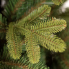 Choinka sztuczna Premium Royal Trees 240 cm świerk syberyjski, drzewko świąteczne