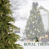 Świerk himalajski, choinka sztuczna PE 240 cm Royal Trees premium drzewko świąteczne jak żywe