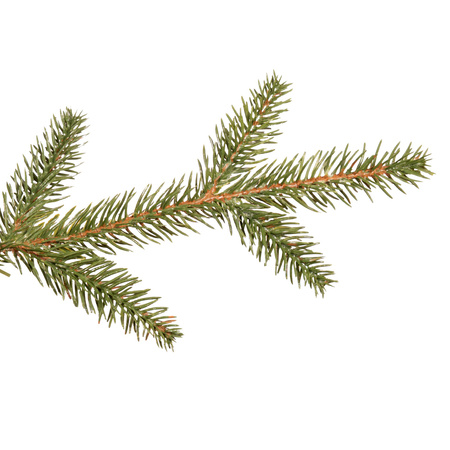 Sztuczna choinka 220 cm jak żywa świerk naturalny drzewko bożonarodzeniowe