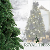 Sztuczna choinka sosna leśna 180 cm jak żywa Royal Trees premium stojak drewniany