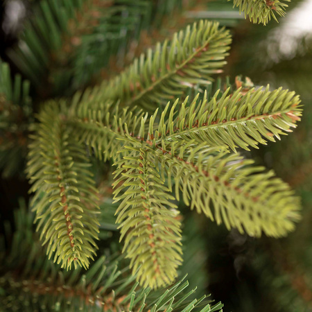 Choinka sztuczna Premium Royal Trees 240 cm świerk syberyjski, drzewko świąteczne