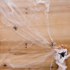 Ozdoba na Halloween pajęczyna z 2 pająkami dekoracja sieć pajęcza 3,5 m