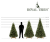 Sosna, choinka sztuczna 240 cm Royal Trees premium drzewko świąteczne jak żywe
