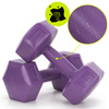 Hantle 2x2kg hexagonalne do ćwiczeń fitness ciężarki zestaw 2 szt. fioletowe