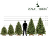 Świerk kaukaski, choinka sztuczna 150 cm Royal Trees premium drzewko świąteczne jak żywe