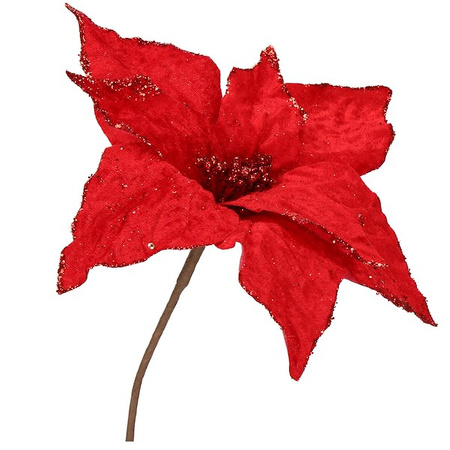Gwiazda betlejemska 23 cm czerwona z brokatem poinsecja ozdoba świąteczna